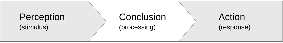 perception-conlusion-action-en